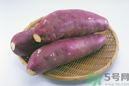 红薯的营养价值(红薯的营养价值及功效和作用)