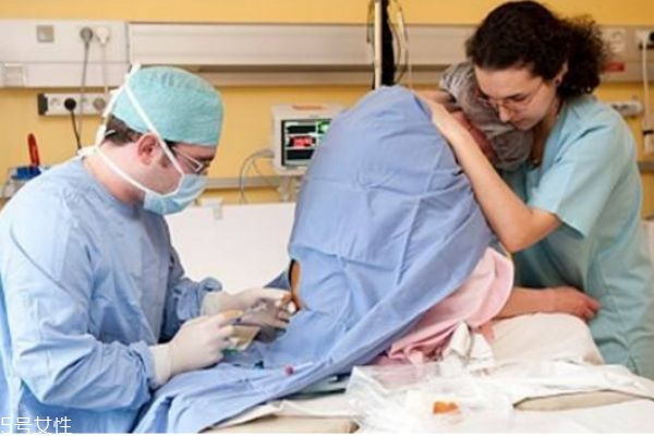 刺梨酒的产地(刺梨酒的产地)