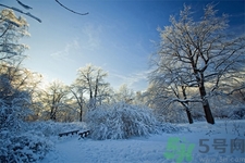 冬枣的营养价值(冬枣的营养价值和功效和作用)