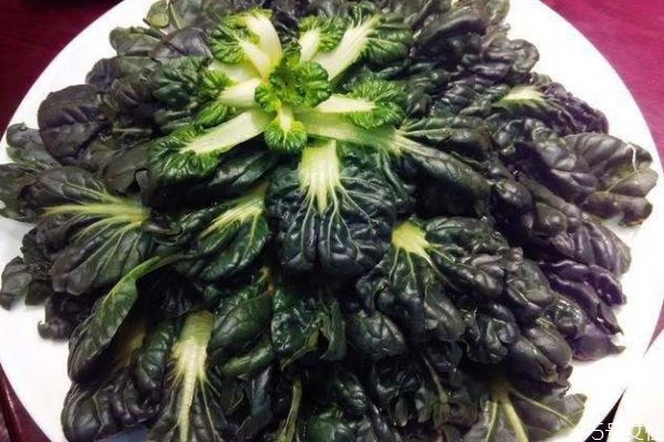 吃塔菜有什么注意的呢(塔菜的禁忌)