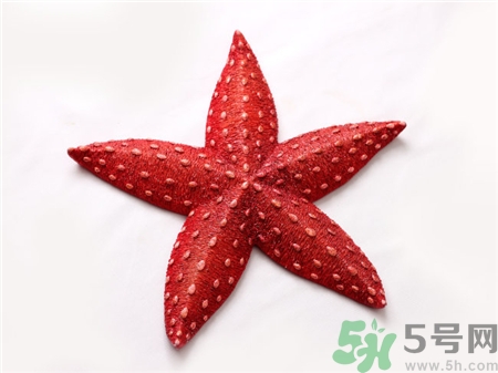 海星的食用方法(海星的食用方法和功效)