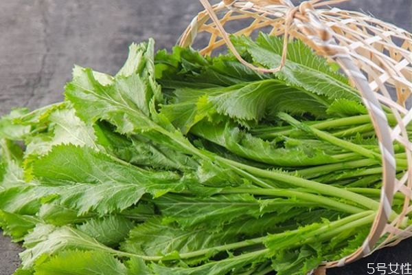 吃雪里红有什么注意的呢(吃雪里红忌讳什么) 吃雪里红有什么注意的呢(吃雪里红忌讳什么)