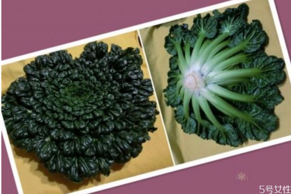 塔菜的生长是怎么样的呢(塔菜什么时候种植) 塔菜的生长是怎么样的呢(塔菜什么时候种植)