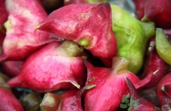 菱角副作用介绍(菱角的副作用) 菱角副作用介绍(菱角的副作用)