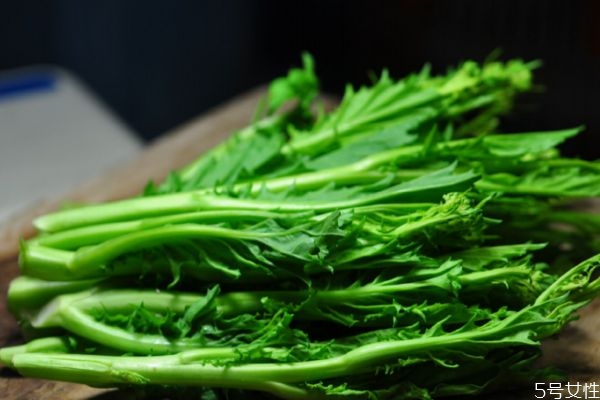 孕妇可以吃冲菜吗(孕妇可以吃冲菜吗)