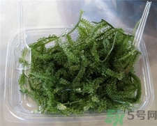 海葡萄的功效(海葡萄的功效和作用) 海葡萄的功效(海葡萄的功效和作用)