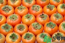 做脆柿子的注意事项(做脆柿子的方法)