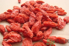 枸杞适合体质虚弱的人服用(身体虚弱可以吃枸杞吗)