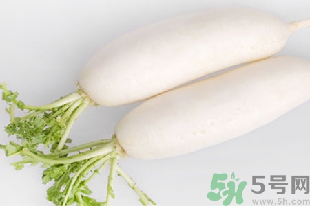 白萝卜的功效和作用(白萝卜的功效和作用和禁忌)