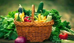 茼蒿的功效作用(茼蒿的功效作用) 茼蒿的功效作用(茼蒿的功效作用)