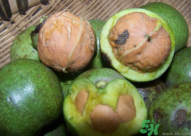 新鲜核桃吃多了会上火吗(新鲜核桃吃多了会上火吗)