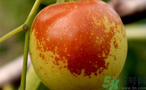 水果托运规则(水果托运有什么要求) 水果托运规则(水果托运有什么要求)