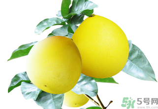 吃柚子的好处(吃柚子的好处和功效)