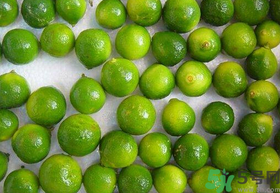 桔子各部分的功效和作用(桔子各部分的功效和作用)